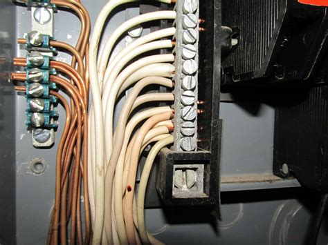 neutral wire in electrical box